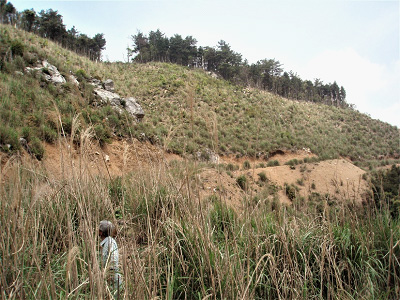 植栽前（2007年）