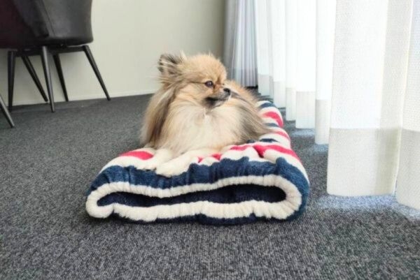 まったり