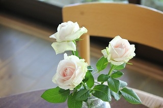 s-005.jpg